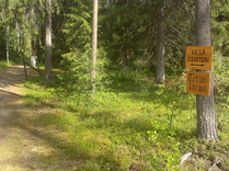 Tervatörmän kesäteatteri oli metsän siimeksessä.