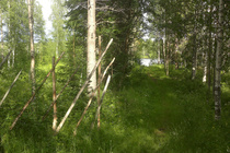 Teatterialueelta pääsi polkua myöten myös rantaan.