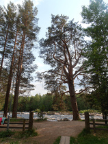 Koitelinkoski henkii suomalaista tunnelmaa.